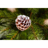 Новогодняя елка TRIUMPH TREE, Женева, 260 см, заснеженная 73068